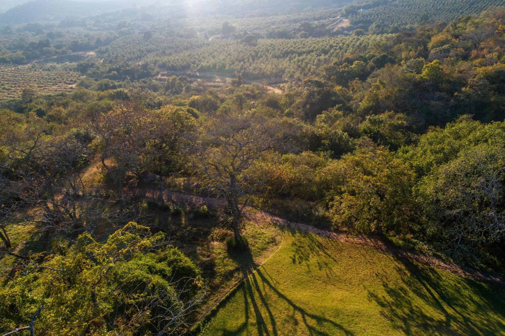 Chestnut Country Lodge Хейзивью Экстерьер фото