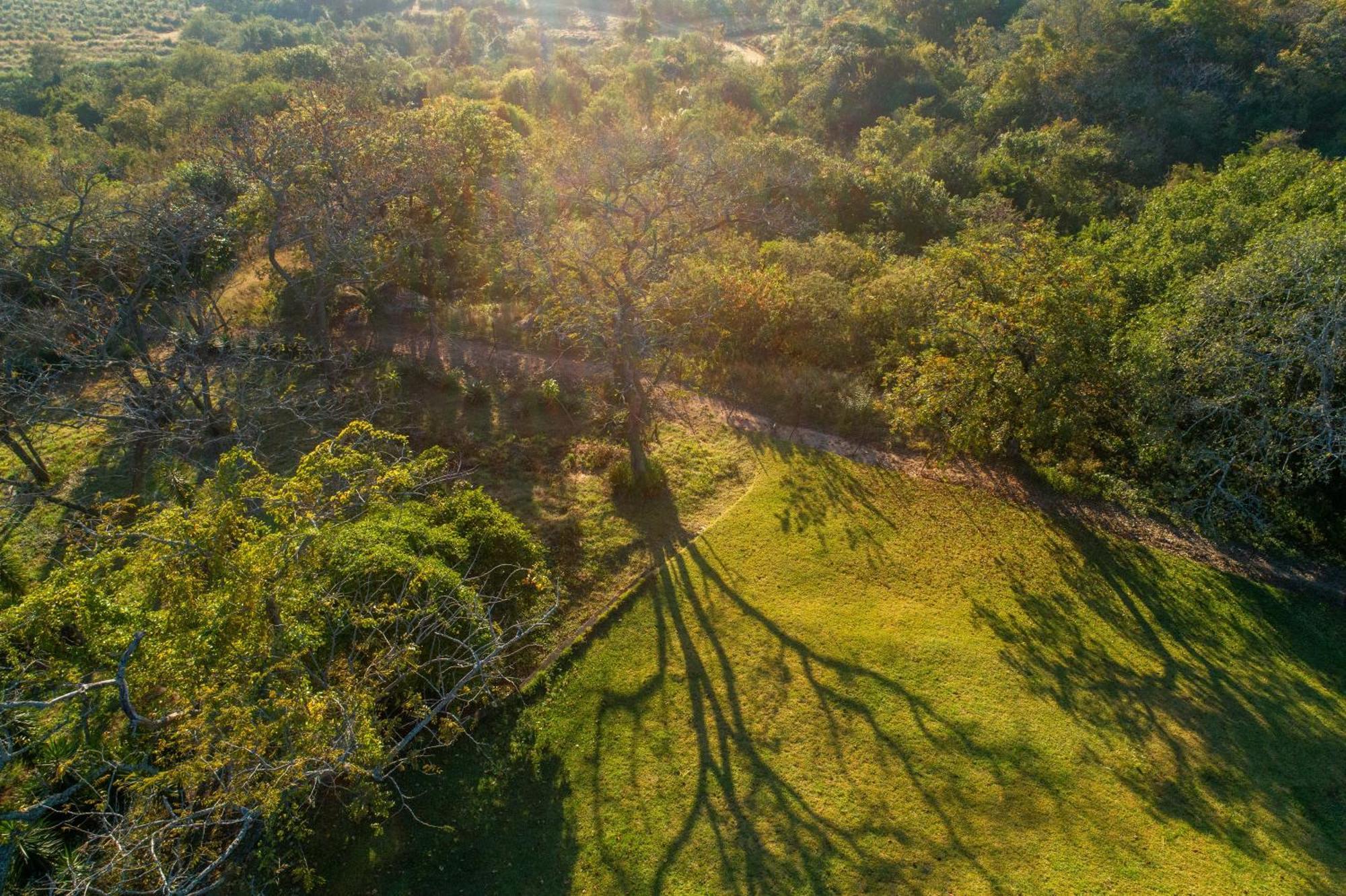 Chestnut Country Lodge Хейзивью Экстерьер фото